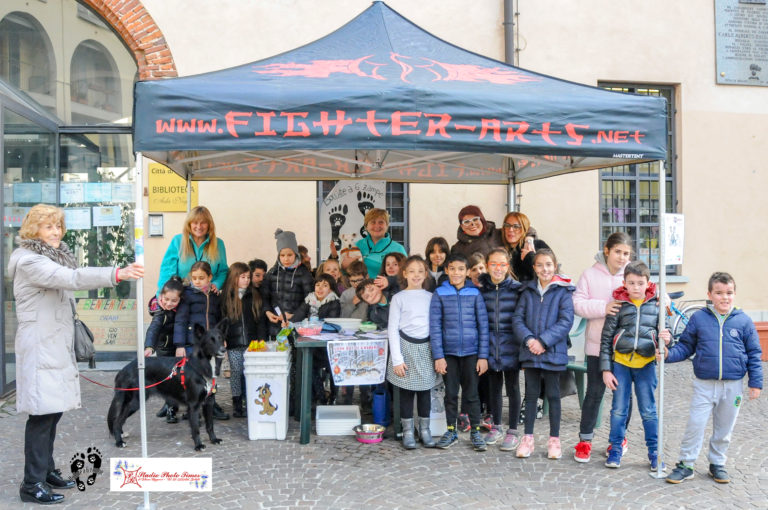 galleria bollate a 6 zampe