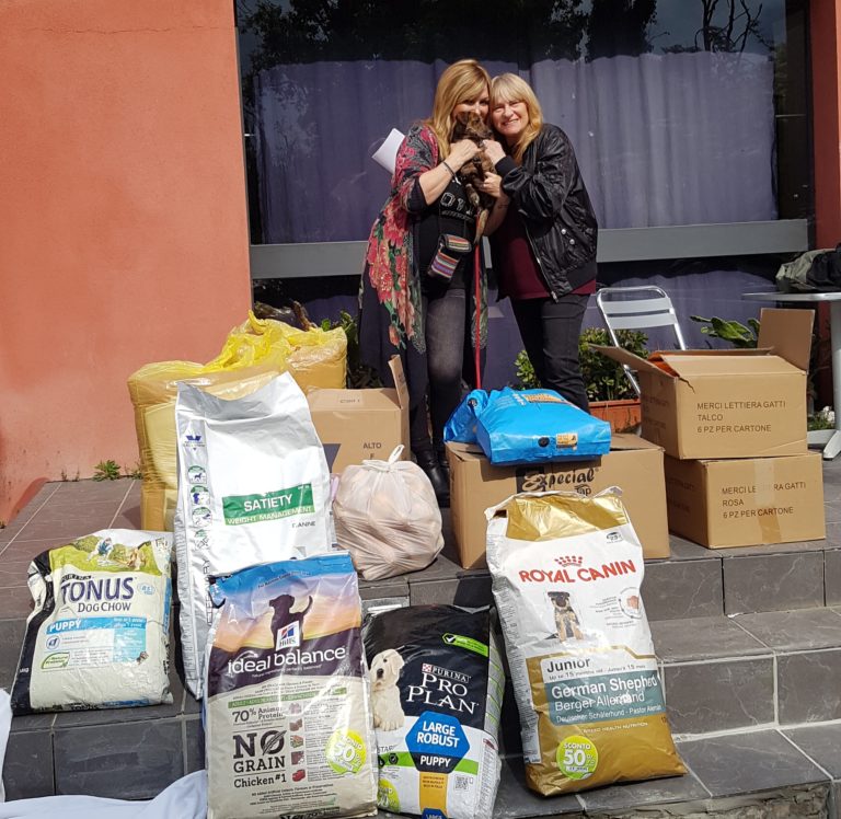raccolte alimentari rifugi bollate a 6 zampe