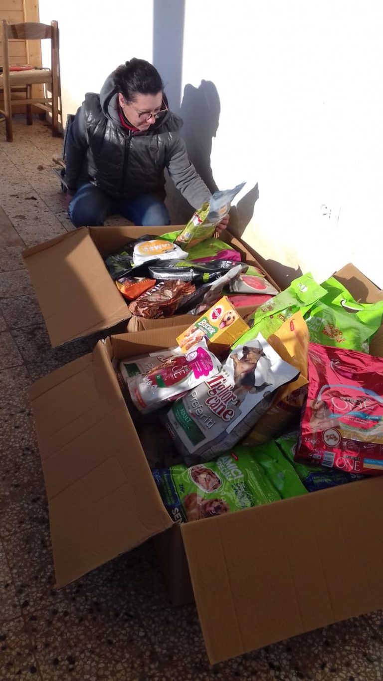 raccolte alimentari rifugi bollate a 6 zampe