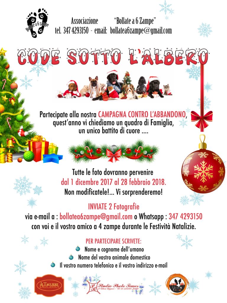 eventi bollate a 6 zampe