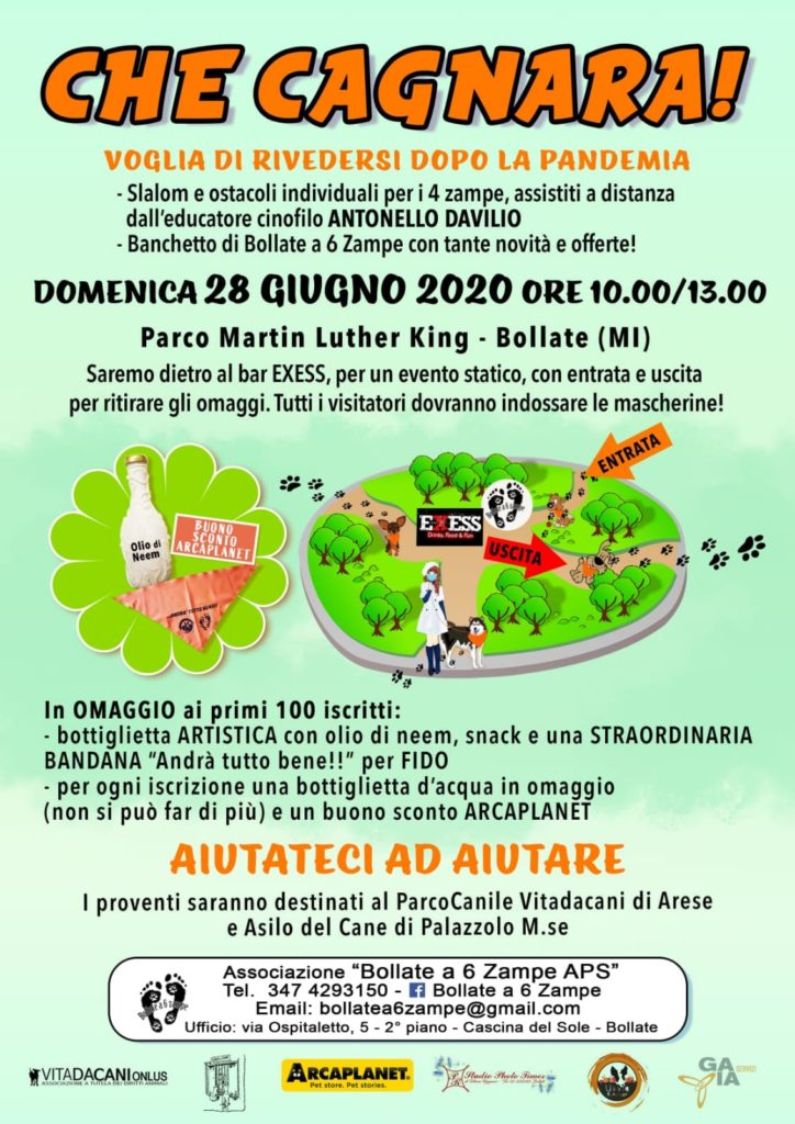 Che cagnara Bollate a 6 zampe