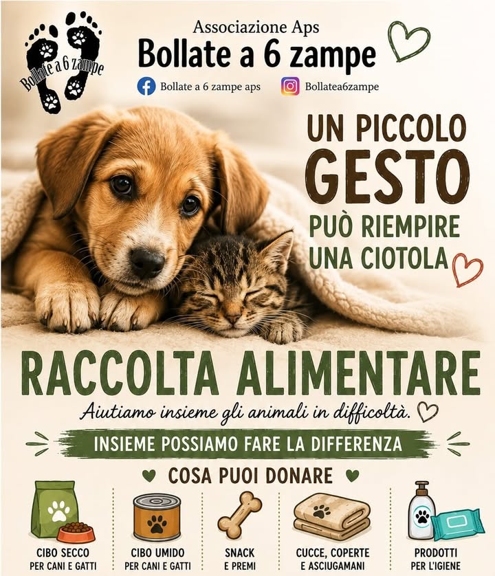 Bollate a 6 Zampe APS
