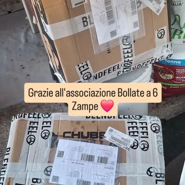 Bollate a 6 Zampe APS