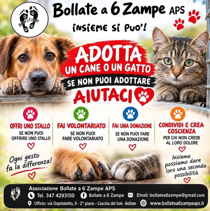 Bollate a 6 Zampe APS