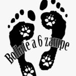 Bollate a 6 Zampe